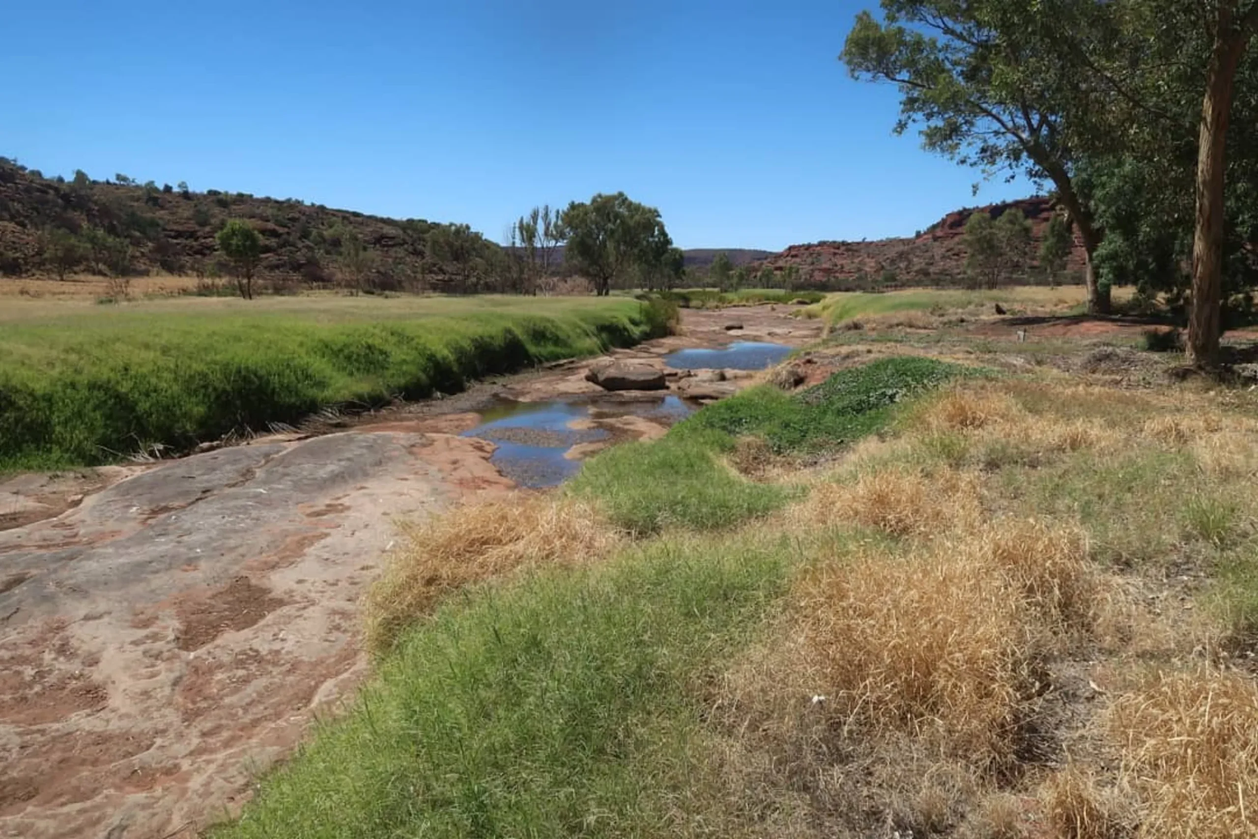 walking tracks, Larapinta