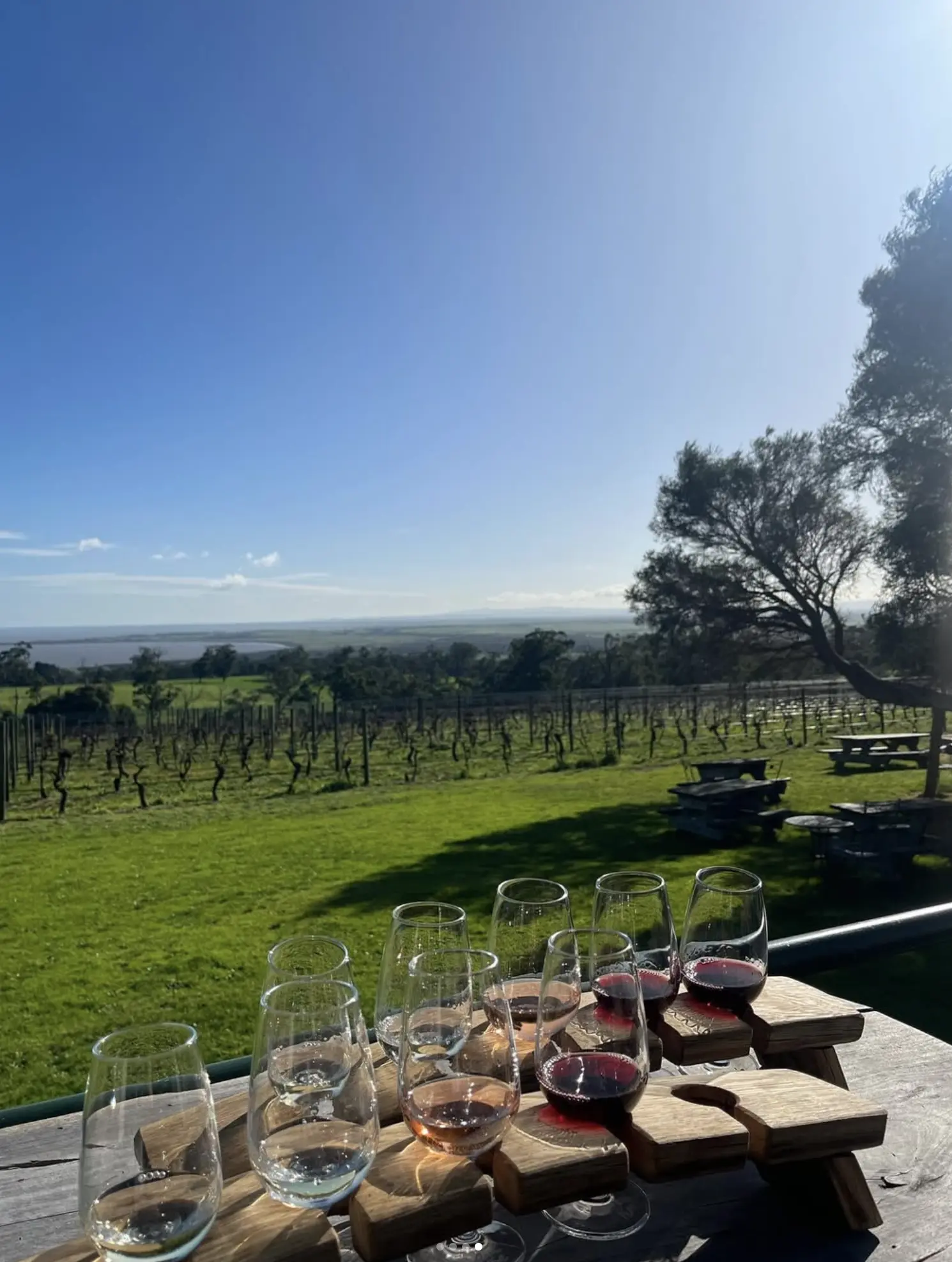 Gippsland Wine