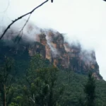 Blue Gum Forest Hiker’s Paradise