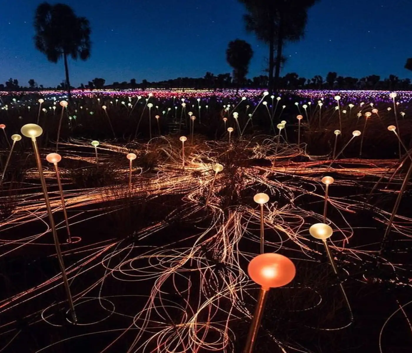 A Night at Field of Light — The Premium Dining Experience