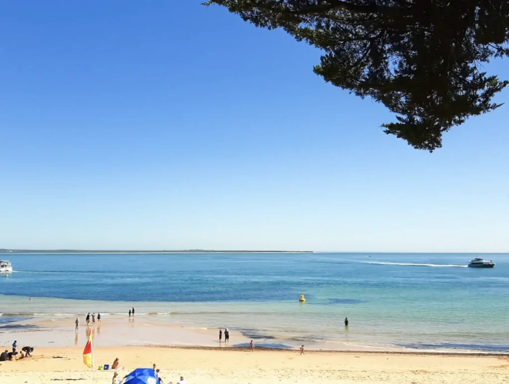 Seasonal Crowds Change How Big The Island Feels